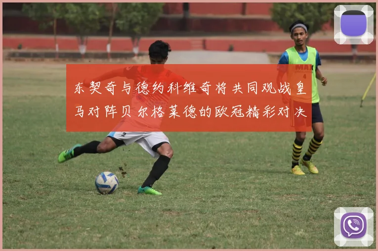 东契奇与德约科维奇将共同观战皇马对阵贝尔格莱德的欧冠精彩对决