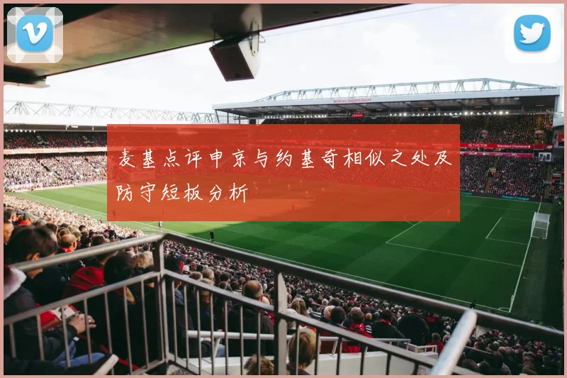 麦基点评申京与约基奇相似之处及防守短板分析