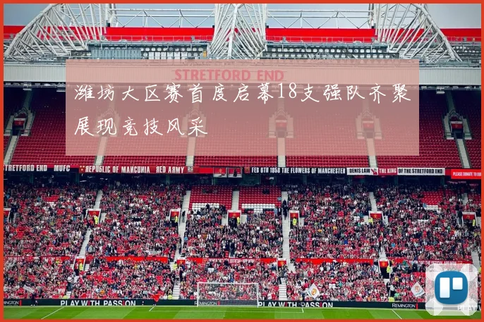 潍坊大区赛首度启幕18支强队齐聚展现竞技风采